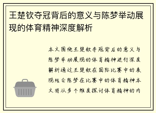王楚钦夺冠背后的意义与陈梦举动展现的体育精神深度解析 王楚钦夺冠背后的意义与陈梦举动展现的体育精神深度解析