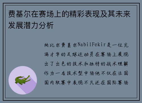 费基尔在赛场上的精彩表现及其未来发展潜力分析